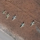 Image for article titled United States Launches Over 50 Tomahawk Cruise Missiles Into Syria: Report